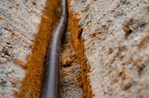 iStock_000005202798XSmall